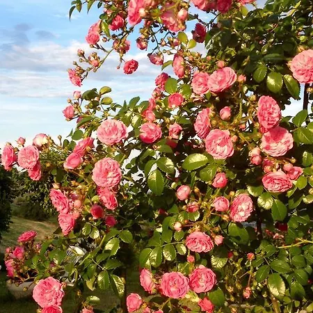 Летний дом Vento Di Rose Monterubbiano