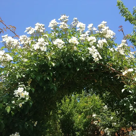 Séjour à la campagne Vento Di Rose