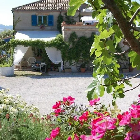 Vento Di Rose *