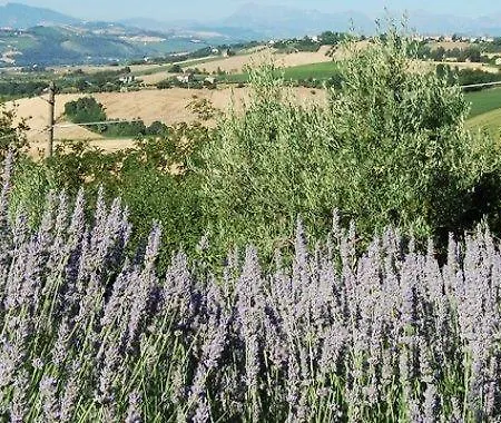 Séjour à la campagne Vento Di Rose Monterubbiano