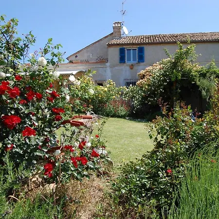 Vento Di Rose