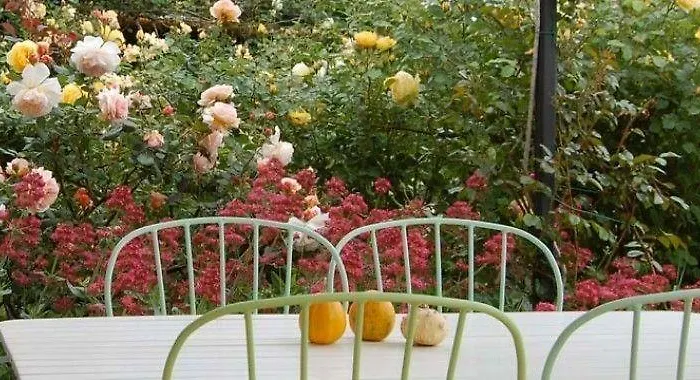 Gospodarstwo wiejskie Vento Di Rose