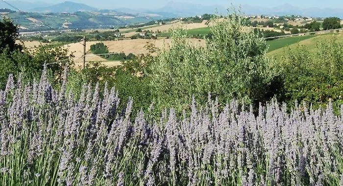 Vento Di Rose Gospodarstwo wiejskie *